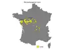 Bild 2 von Crémant de Loire AOP brut, Schaumwein