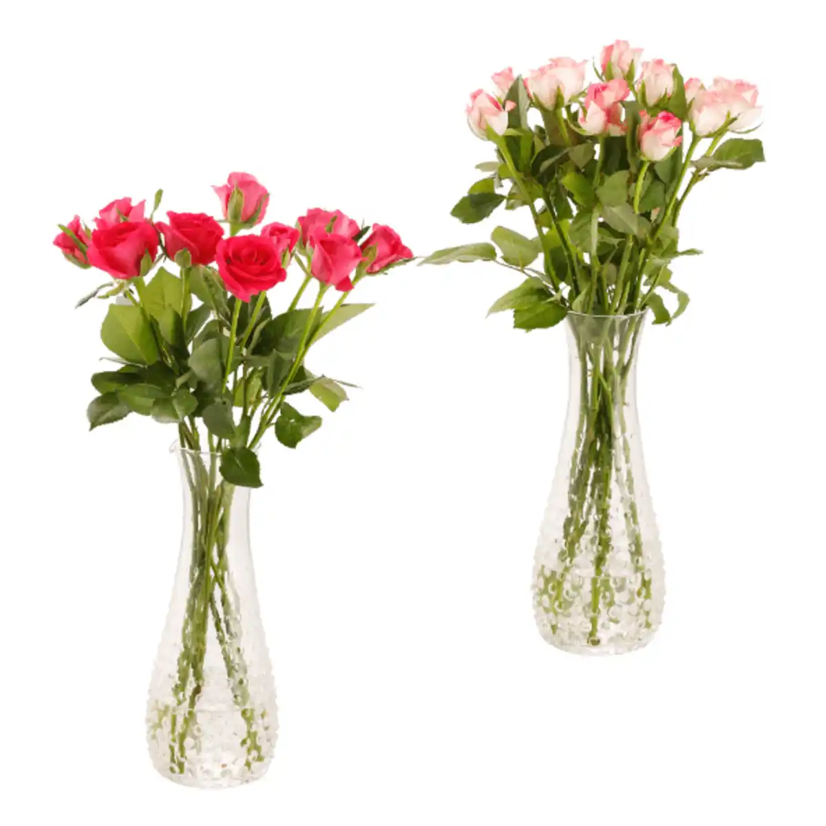 Bild 1 von GARDENLINE Rosen