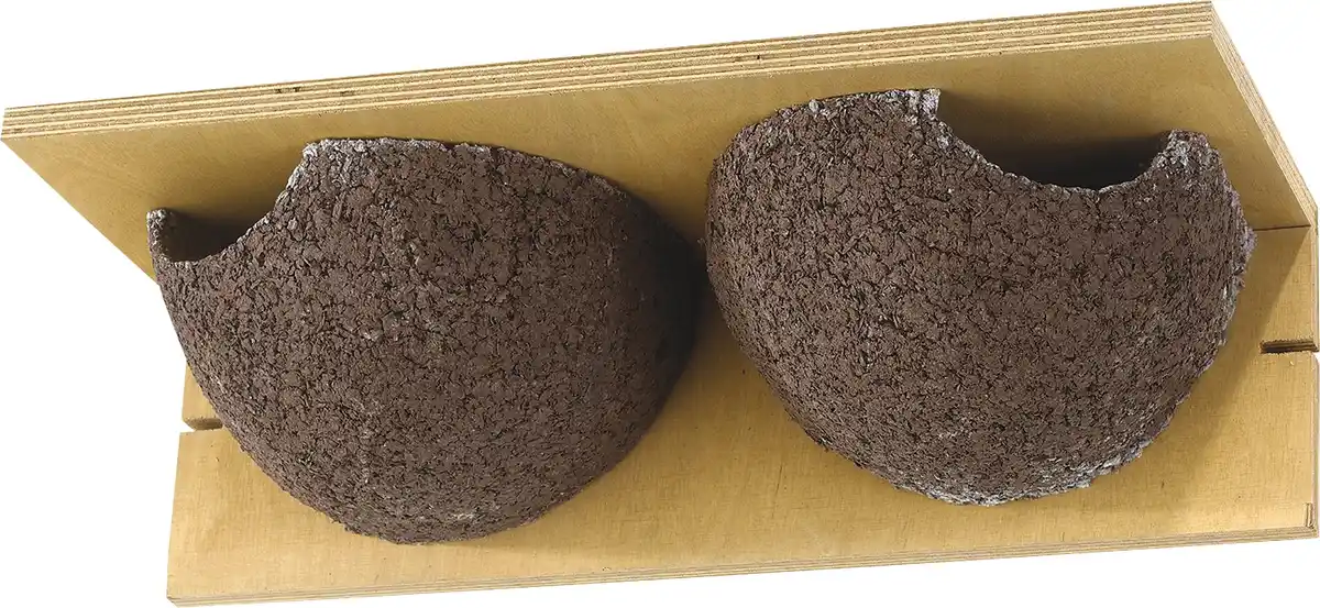 Bild 1 von Wildlife Kunstnistkasten Mehlschwalbe Cancun doppelt natur