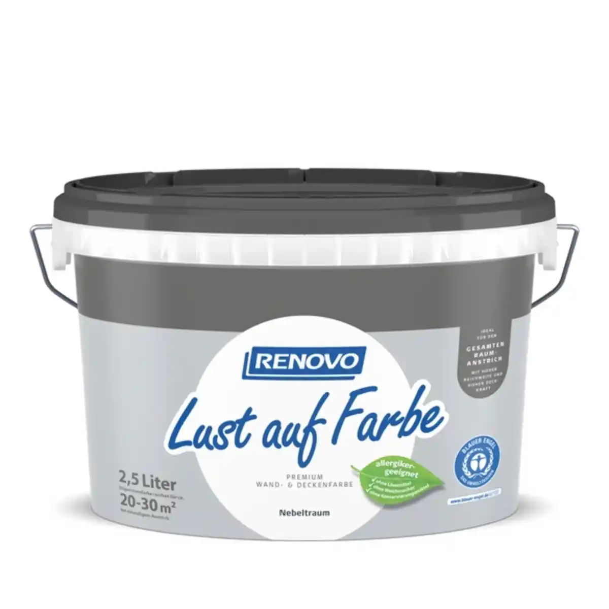 Bild 1 von RENOVO Dispersion »Lust auf Farbe«, Nebeltraum, 2,5 l, matt