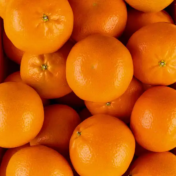 Bild 2 von Dream-Früchte Mandarinen