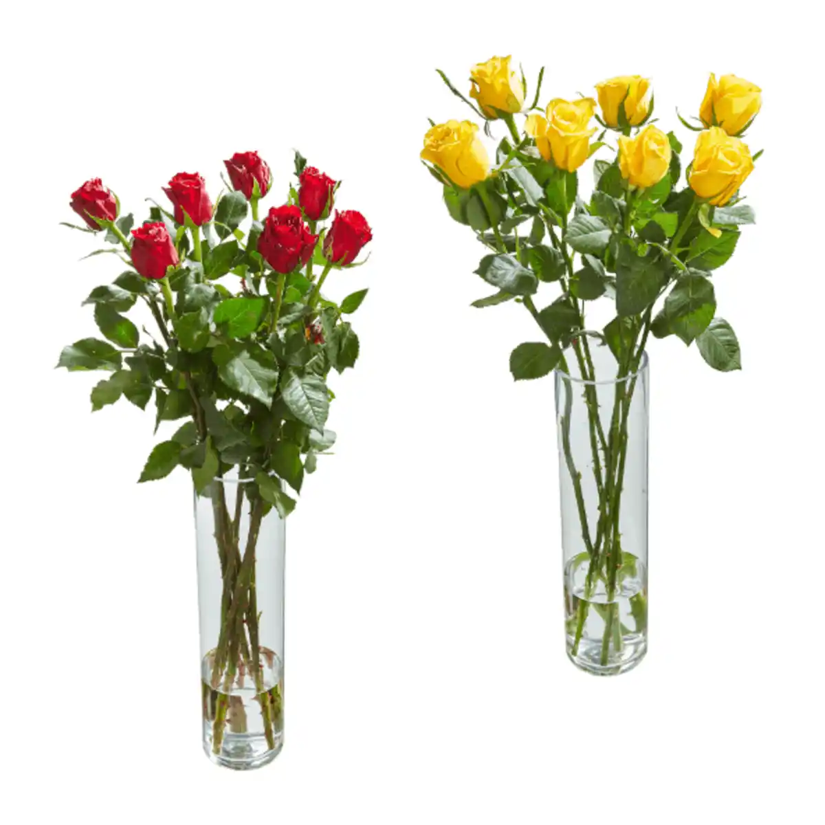 Bild 1 von GARDENLINE Langstielige Rosen