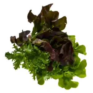 Deutschland Salattrio