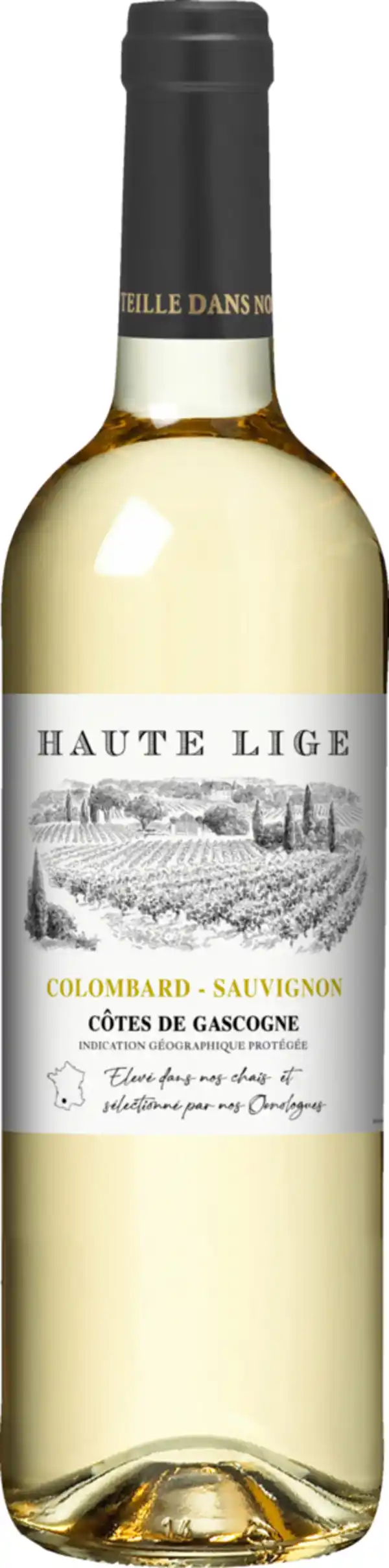 Bild 1 von HAUTE LIGE Colombard-Sauvignon