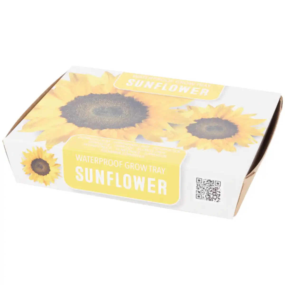 Bild 1 von Mini-Anzuchtset