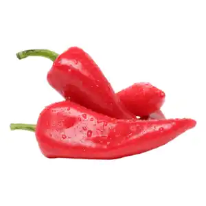 REWE Bio Paprika spitz rot 180g