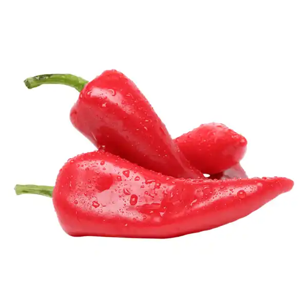 Bild 1 von REWE Bio Paprika spitz rot 180g