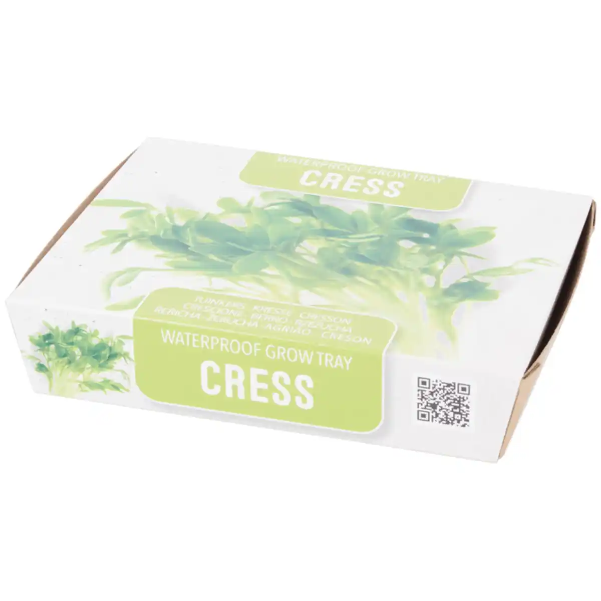 Bild 2 von Mini-Anzuchtset