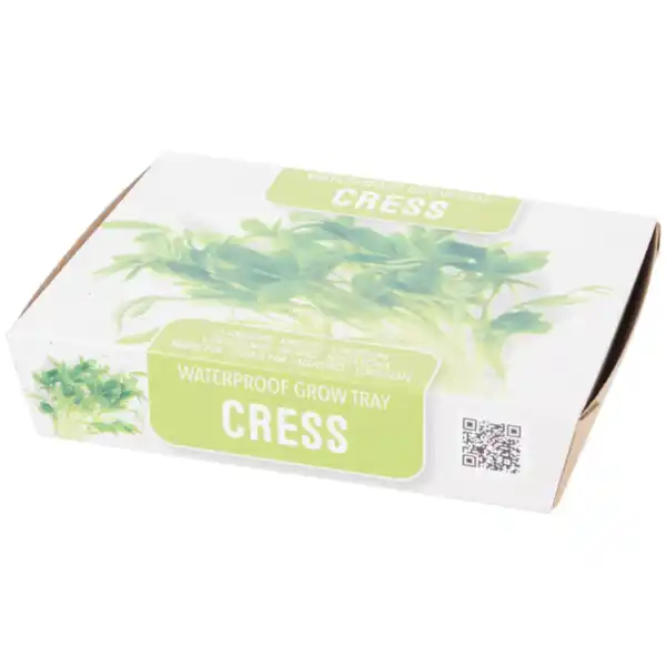 Bild 2 von Mini-Anzuchtset