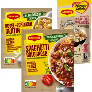 Maggi Fix, Herzensküche oder Food Travel Würzpaste