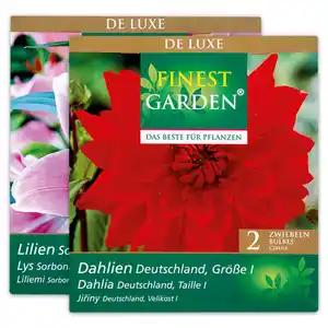 Finest Garden Exklusive Blumenzwiebeln "De Luxe"