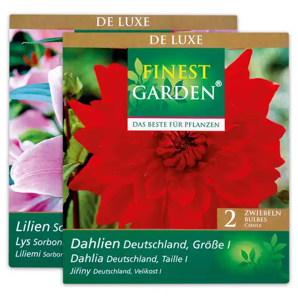 Bild 1 von Finest Garden Exklusive Blumenzwiebeln "De Luxe"