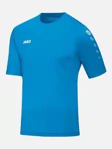 Herren Trikot mit Schriftzug Blau