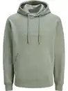 Bild 1 von Jack&Jones 12233972 JJESTAR JJ SWEAT HOOD Hoodie Grün