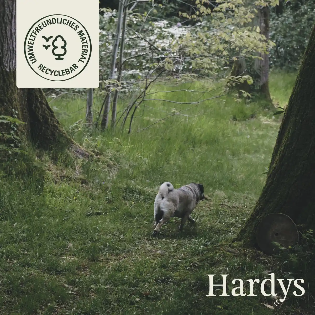 Bild 4 von HARDYS Manufaktur Sensitiv Mini Leckerchen Rind soft, 125 g