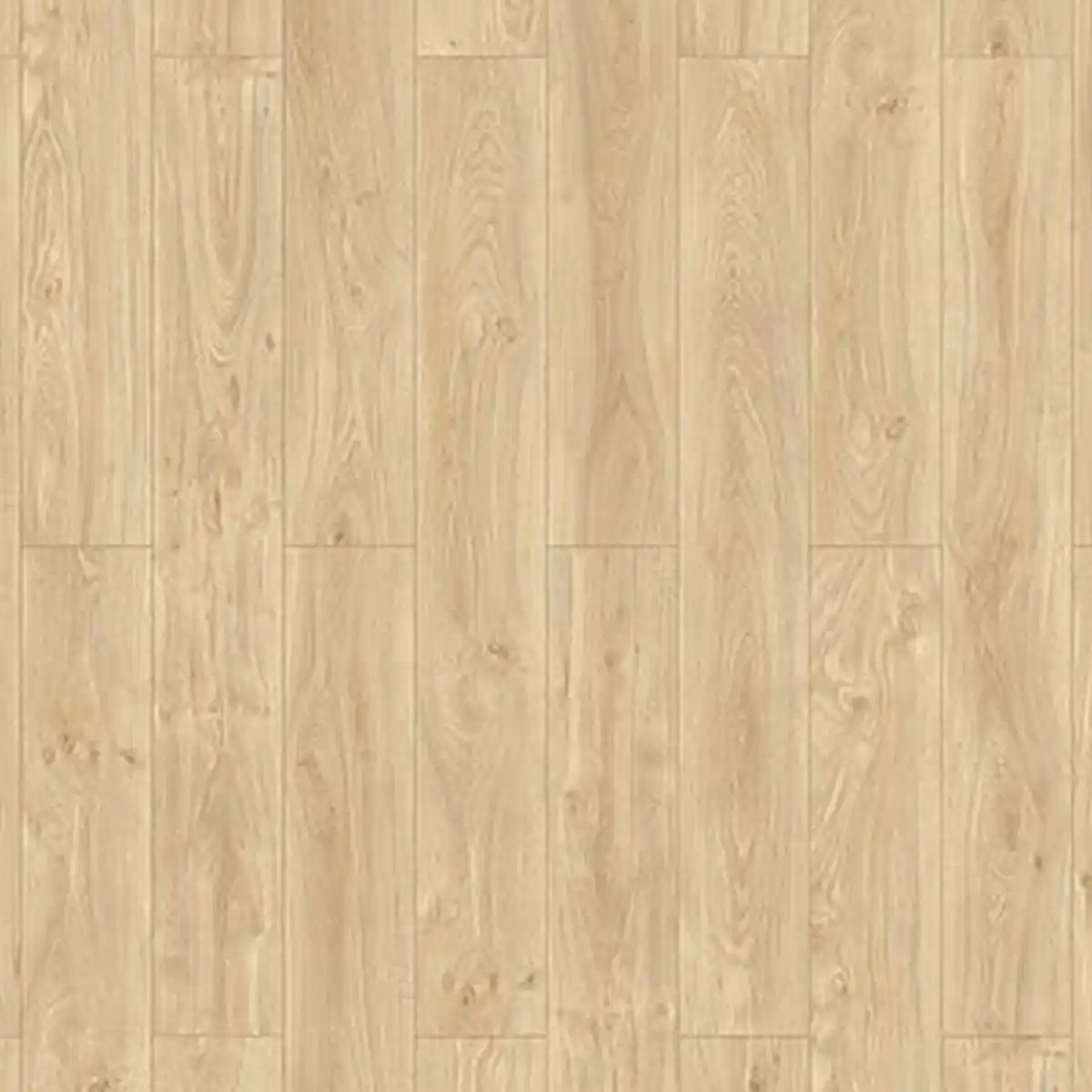 Bild 1 von toom Vinylboden 'Greenvinyl' Weißeiche beige 3,8 mm