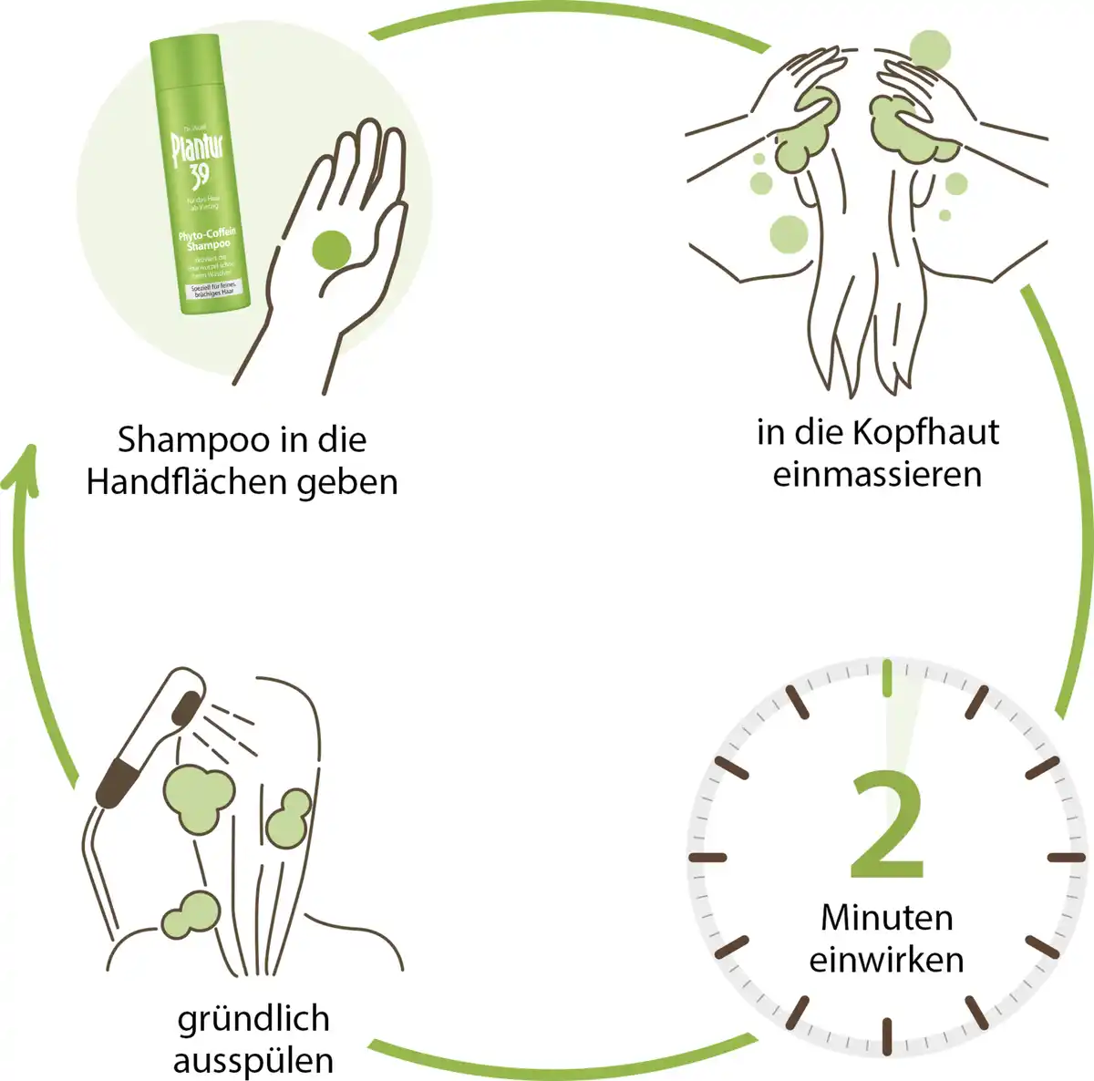 Bild 3 von Dr. Wolff Plantur 39 Phyto-Coffein Shampoo, 250 ml