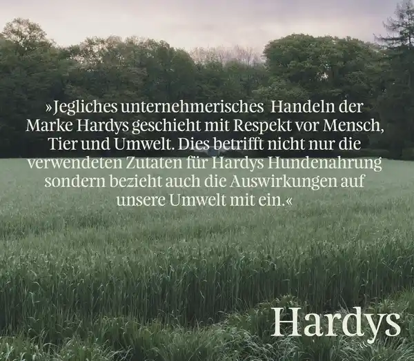 Bild 3 von HARDYS Manufaktur Sensitiv Mini Leckerchen Rind soft, 125 g