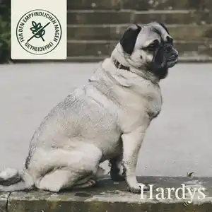 HARDYS Manufaktur Sensitiv Mini Leckerchen Rind soft, 125 g