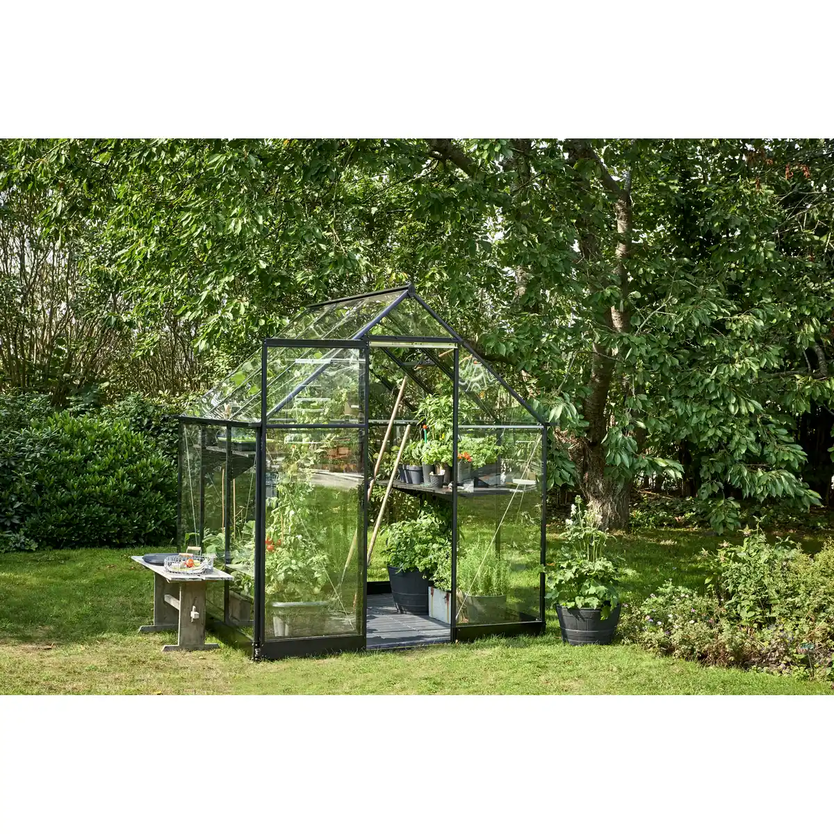 Bild 1 von Halls Gewächshaus 'Qube 66' 188,8 x 188,8 cm mit 3 mm Sicherheitsglas schwarz