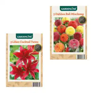 GARDENLINE Frühjahrsblumenzwiebeln