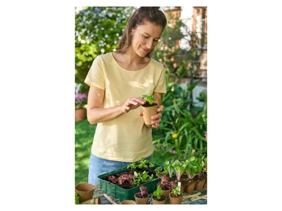 Bild 2 von PARKSIDE® Anzuchtkasten-Set, mehrfach verwendbar