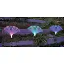 Bild 3 von I-Glow LED-Solar-Gartendeko