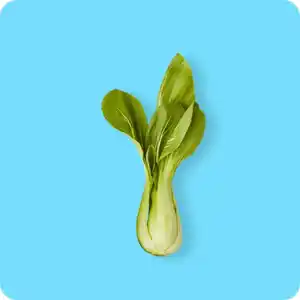   Pak Choi, Ursprung: siehe Etikett