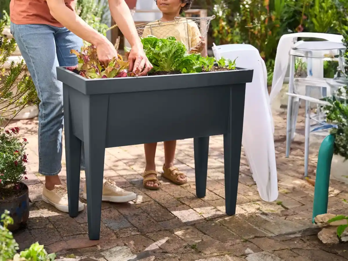 Bild 2 von PARKSIDE® Hochbeet mit Haube