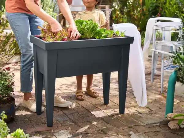 Bild 2 von PARKSIDE® Hochbeet mit Haube