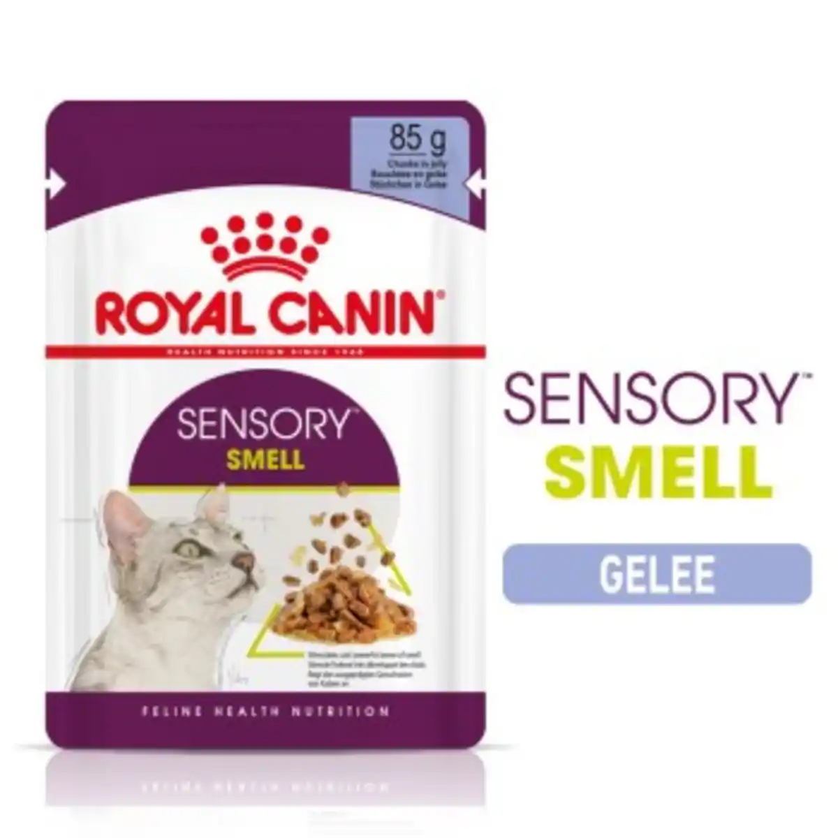 Bild 1 von ROYAL CANIN SENSORY Smell in Gelee für wählerische Katzen 12x85g