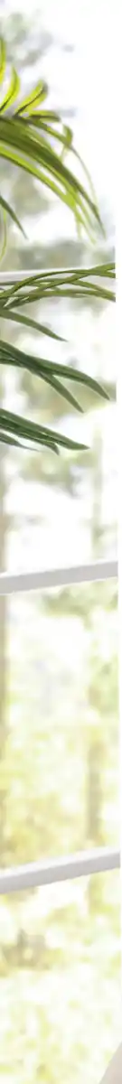 Bild 4 von IDEENWELT Lounge-Joggpants Gr. M