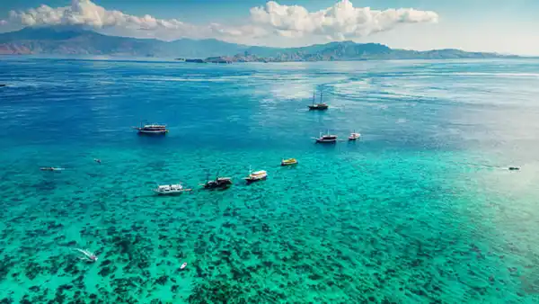 Bild 1 von Kreuzfahrten Australien & Indonesien: Kreuzfahrt mit VASCO DA GAMA von Sydney bis Bali inkl. Baden im Sol by Melia Benoa Bali