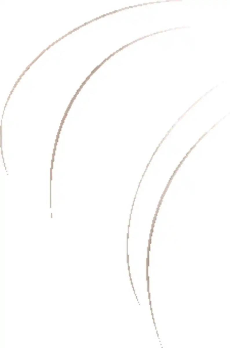 Bild 2 von IDEENWELT Kauring