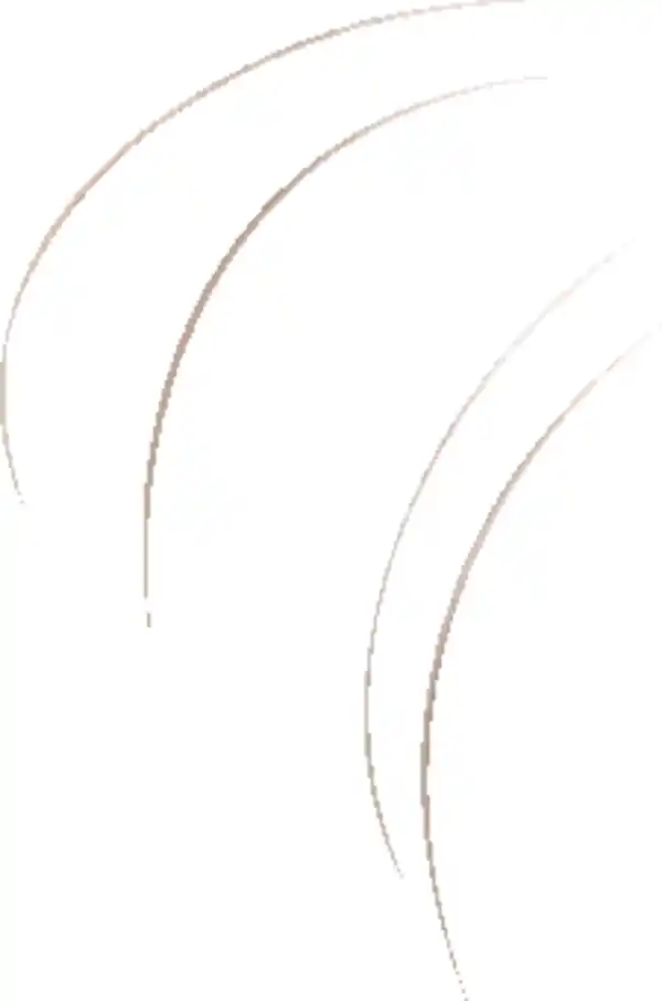 Bild 2 von IDEENWELT Kauring