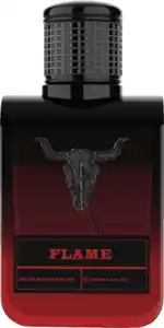 WACKEN FLAME for him, EdP 100 ml