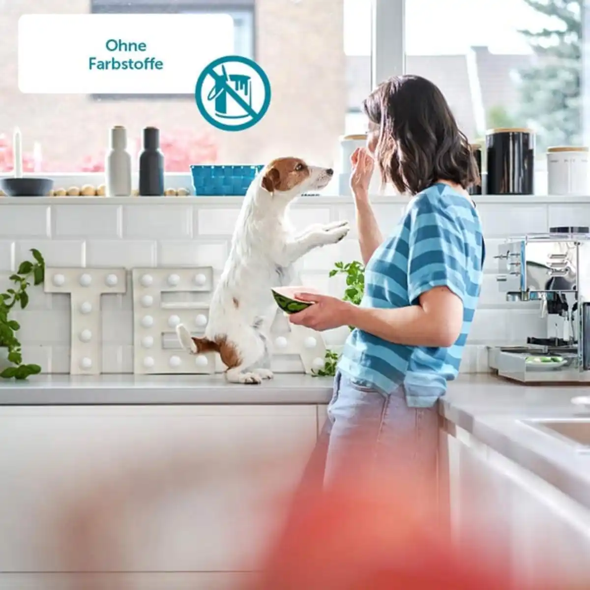 Bild 4 von ZooRoyal Monoprotein Huhn Trockenfutter 12kg