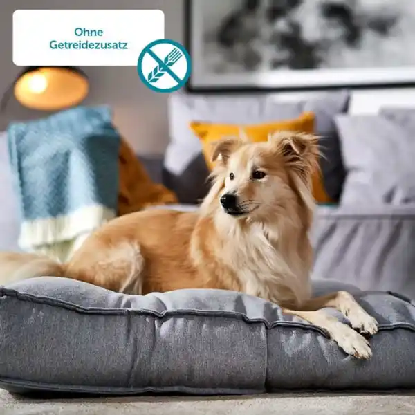 Bild 4 von ZooRoyal Monoprotein Huhn Trockenfutter 12kg