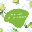 Bild 4 von Alterra NATURKOSMETIK Pflegedusche Bio-Limette, 250 ml