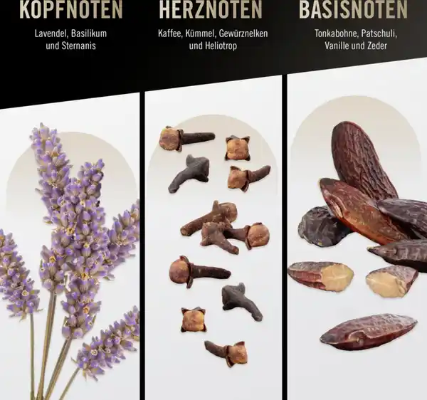 Bild 4 von bruno banani Man, EdT 100ml, 100 ml