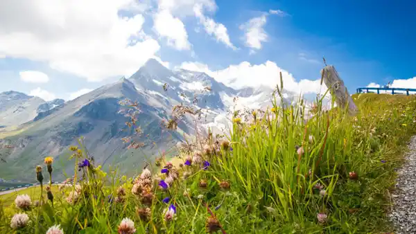 Bild 1 von Eigene Anreise Österreich/Tirol - Kals am Großglockner: All Inclusive-Spaß im SCOL Sporthotel Großglockner