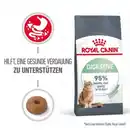 Bild 1 von ROYAL CANIN Digestive Care 10 kg