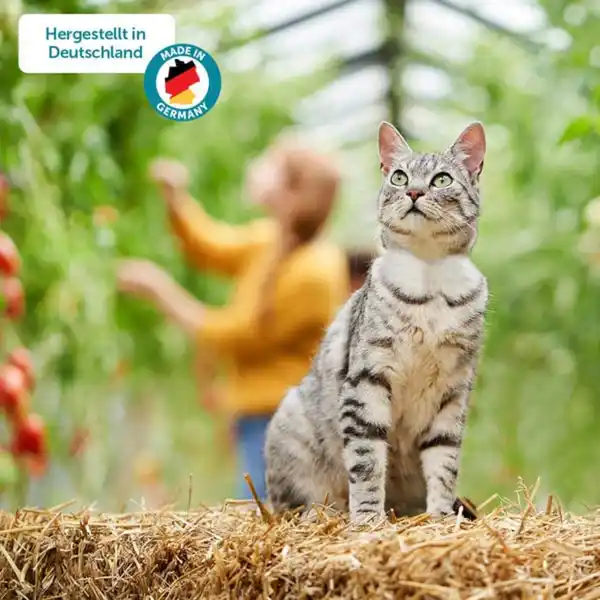 Bild 3 von ZooRoyal Minkas Naturkost Kitten Huhn und Kalb mit Cranberries 100g