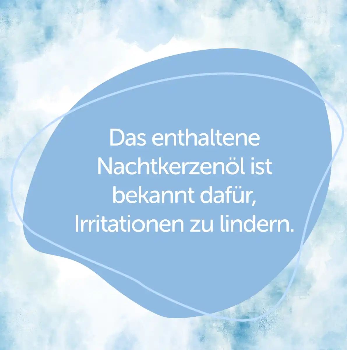 Bild 2 von Alterra NATURKOSMETIK Sensitiv Körpermilch, 250 ml