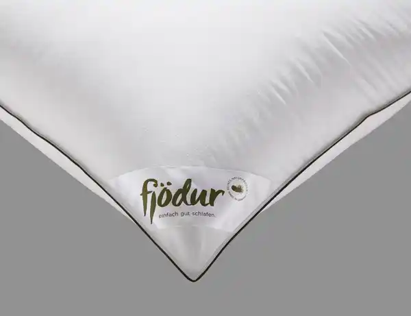 Bild 3 von Kopfkissen Federn & Daunen