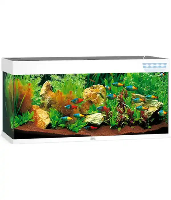 Bild 1 von JUWEL® AQUARIUM Rio 180 LED