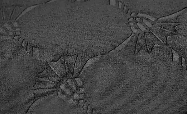 Bild 4 von JOOP! Zierkissen J-EMBOSS