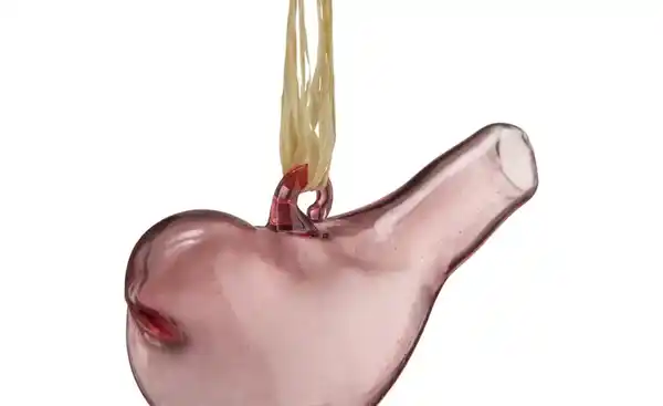 Bild 2 von Deko Vogel Anhänger, 3er Set ¦ mehrfarbig ¦ Glas, Naturprodukte ¦ Maße (cm): B: 6 H: 3,5 T: 3 Dekoration > Dekoartikel - Möbel Kraft