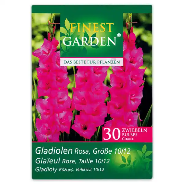 Bild 3 von Finest Garden Frühjahrsblumenzwiebeln