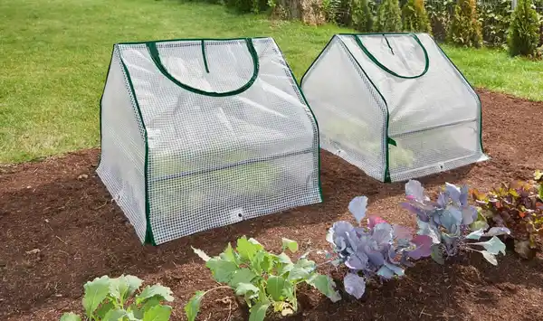 Bild 4 von PARKSIDE® Folienfrühbeete, 2-St.-Packg.